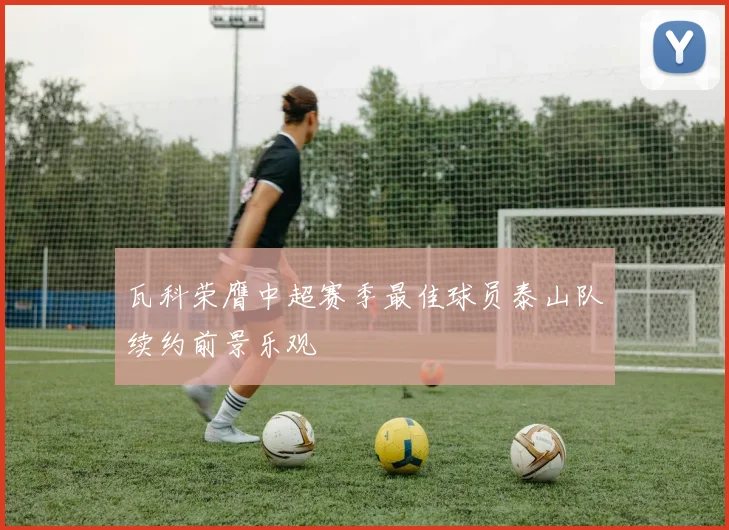 瓦科荣膺中超赛季最佳球员泰山队续约前景乐观