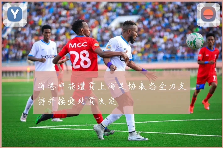 海港申花遭罚上海足协表态全力支持并接受处罚决定